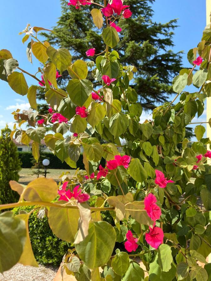 Villa Rina Pesaro Buitenkant foto